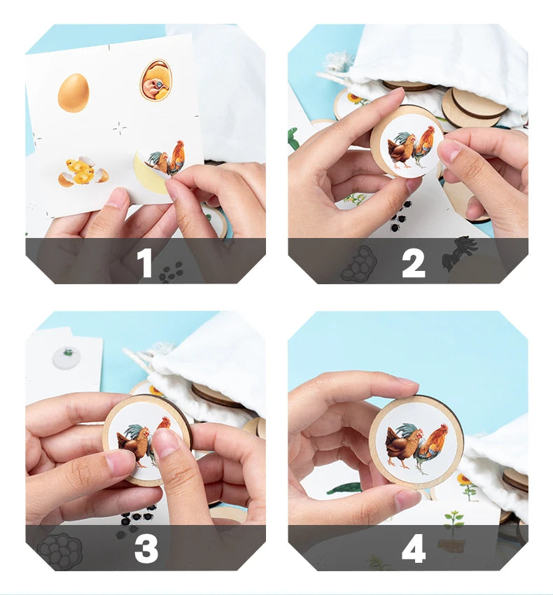 Mise en place des jetons autocollants