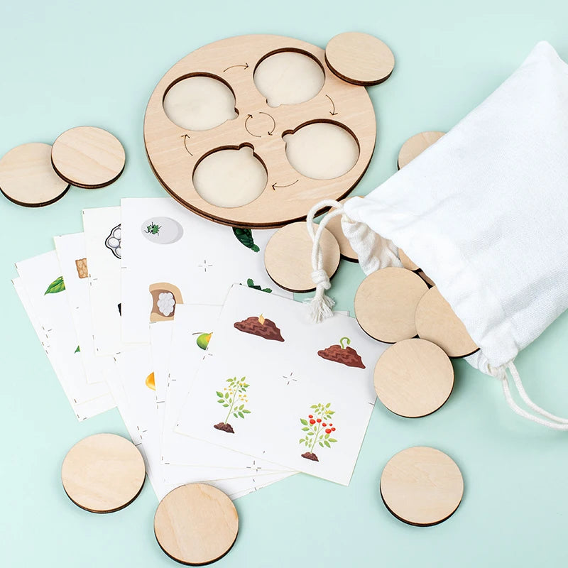 Planche de puzzle représentant le cycle de vie des plantes et animaux.